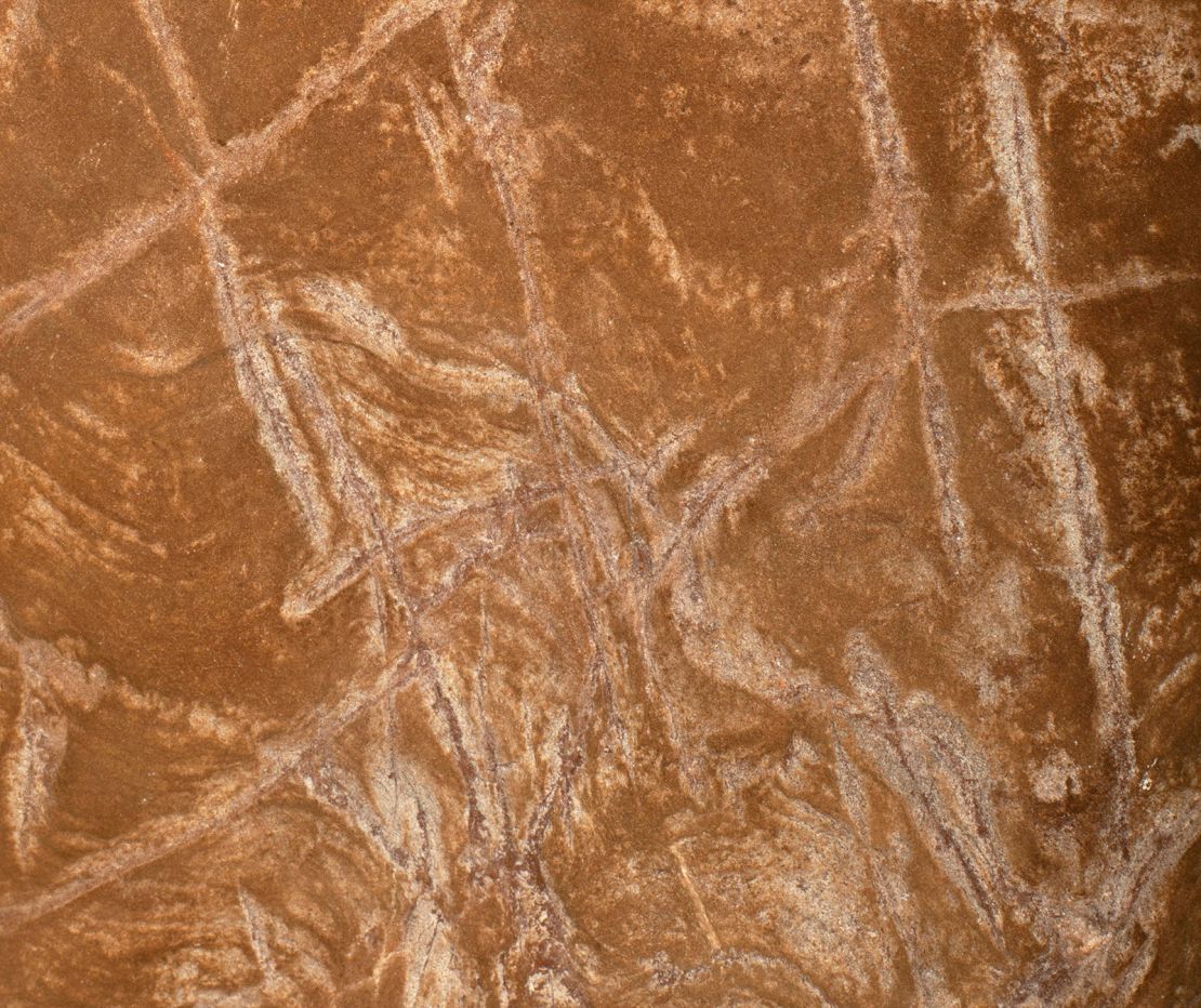 A close up of the base of the Panel A crosshatch engraving in the passage between the Hill Antechamber burial chamber and the Dinaledi Burial Chamber described in Berger et al (2023a).  The roughly horizontal wavy lines at the bottom of the image which are crossed by the engravings is a fossil algal stromatolite found in the native dolomitic rock and clearly illustrate the non-natural origin of the more prominent etchings as they cross the fossil. Image from Berger et al., 2023.
