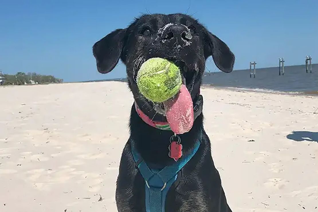 Zoey lives in Metairie, Louisiana.