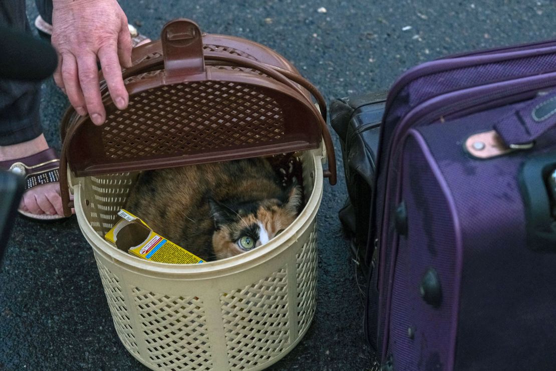 Chernishova lifts the lifts the lid of her pet carrier to reveal her frightened cat, Sonechka, who she says was still in a state of shock.