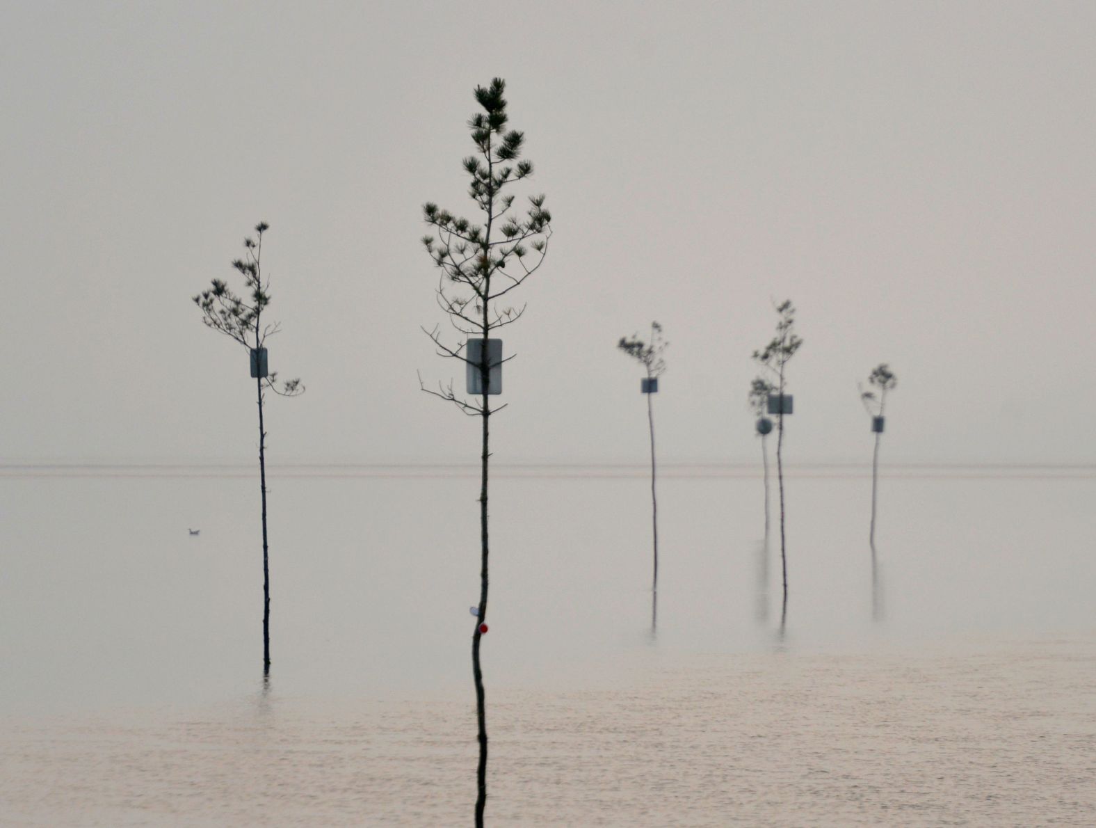 A smoky sky provides a muted backdrop June 6 at Rock Harbor in Massachusetts. Skies over Cape Cod were filled with smoke from the wildfires in Canada.