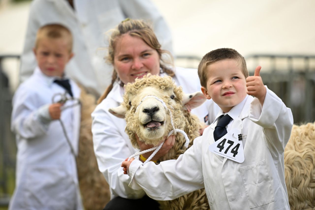Rupert Uglow gives a thumbs-up to a fellow sheep exhibitor during judging at the Royal Bath and West Show, an agricultural show in Shepton Mallet, England, on Thursday, June 1. Rupert's sheep is a Devon and Cornwall Longwool.