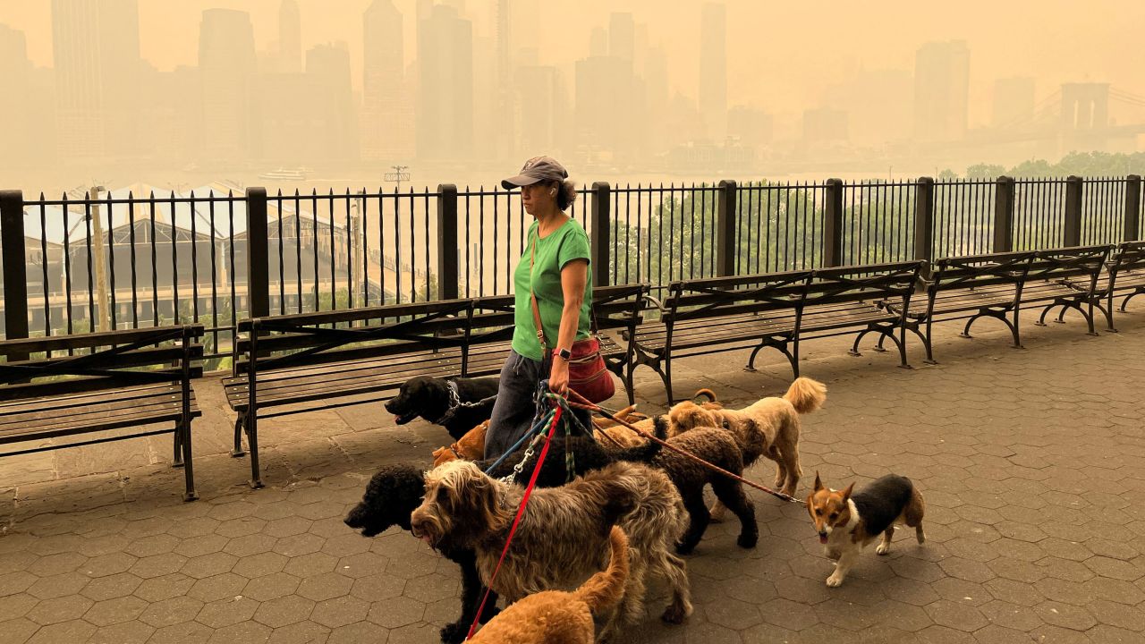 A person walks dogs along the Brooklyn promenade as the Manhattan skyline is shrouded in haze and smoke which drifted south from wildfires in Canada, in New York City, New York, U.S., June 7, 2023. REUTERS/Troy Dunkley