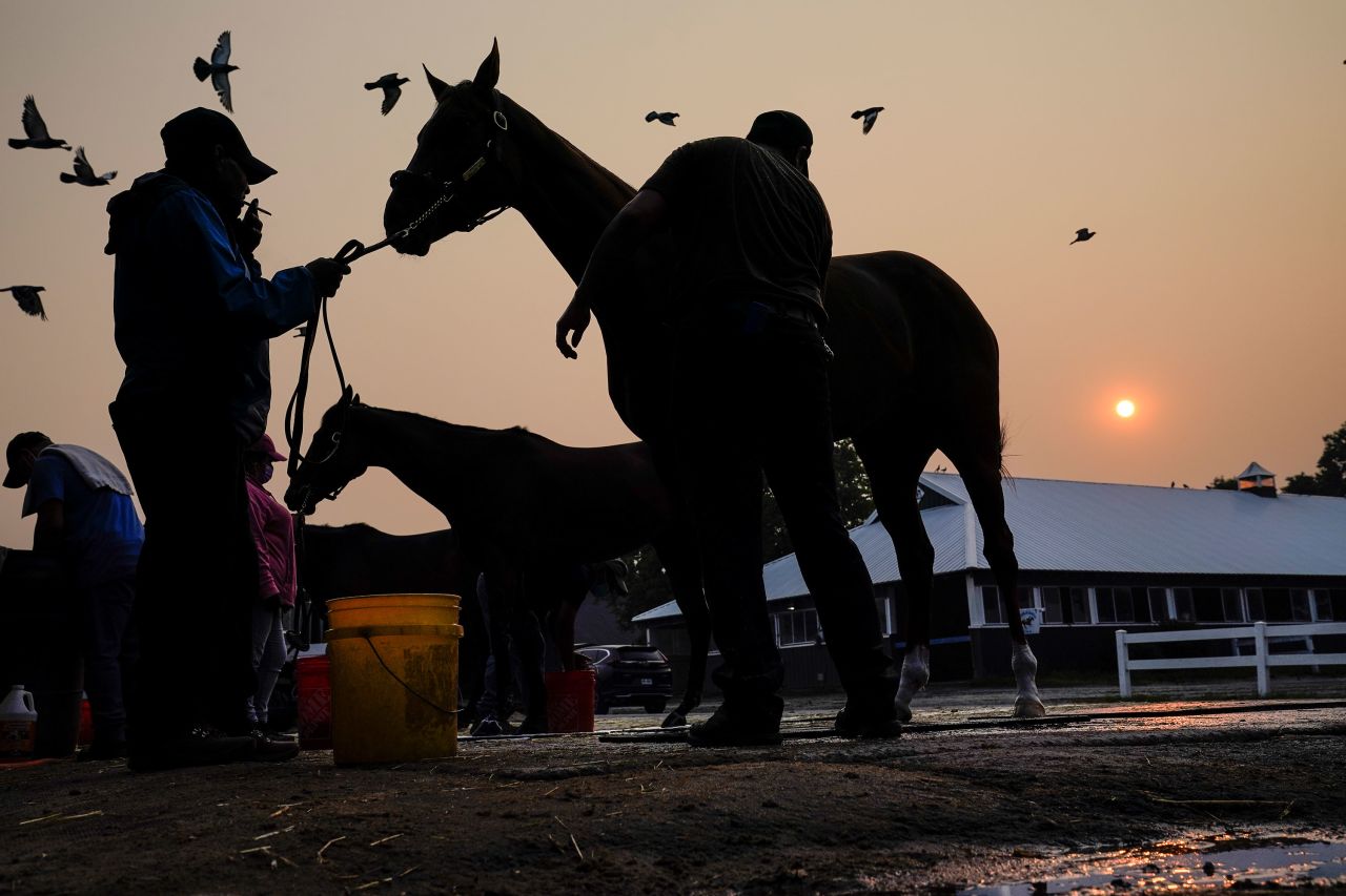 Horses are bathed at Belmont Park in Elmont, New York, on Thursday, June 8. The poor air quality in the region could affect the running of this weekend's Belmont Stakes.
