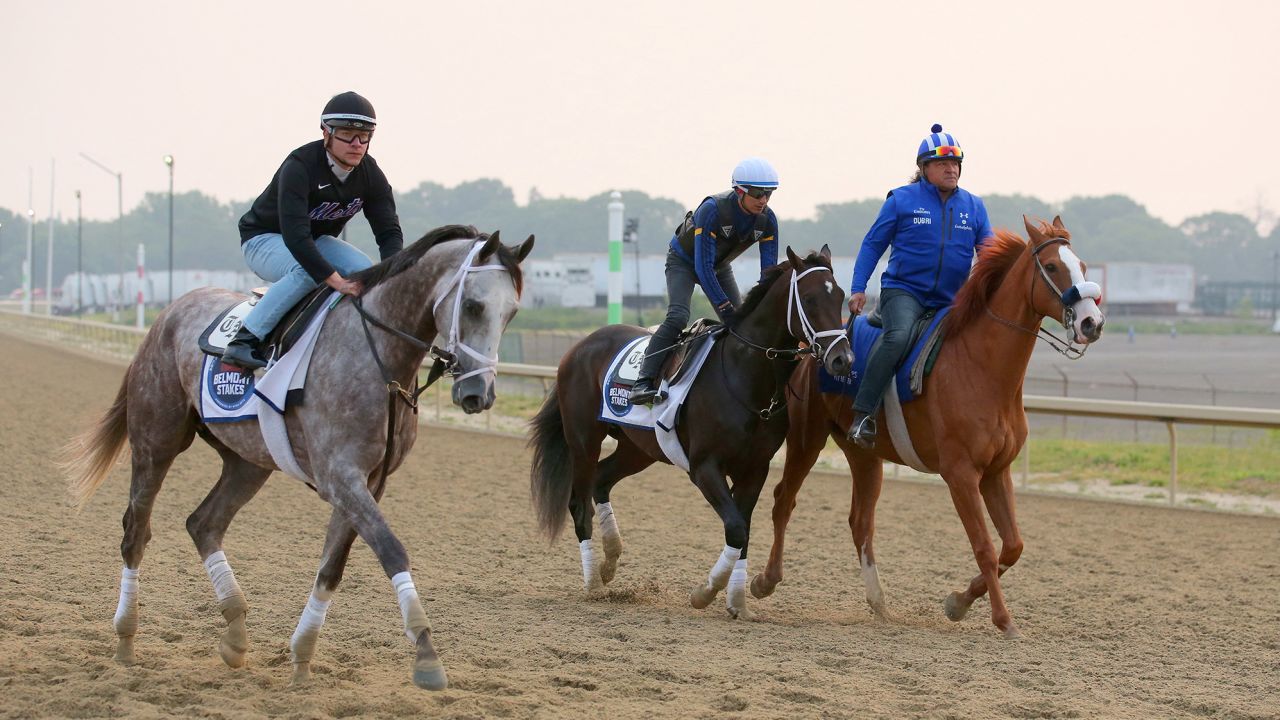 Jun 7, 2023; Elmont, New York, USA; Belmont Stakes contenders Tapit Trice (left) and Forte (center) are walked along the training track after a morning workout at Belmont Park. Mandatory Credit: Brad Penner-USA TODAY Sports