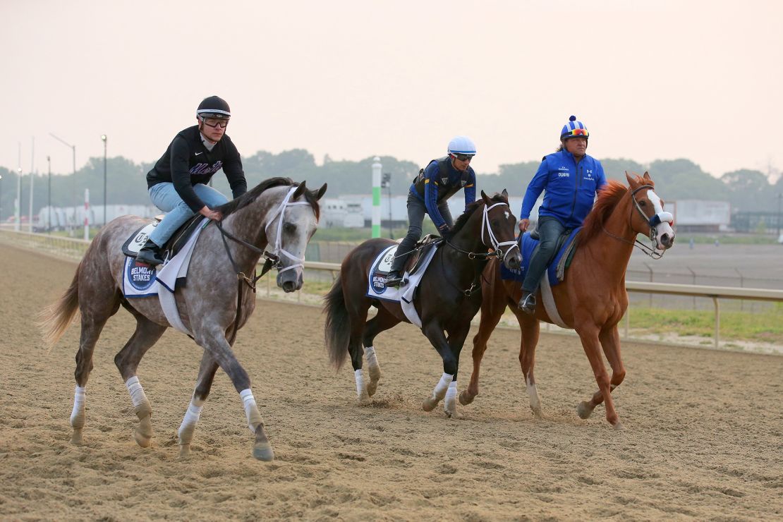 Jun 7, 2023; Elmont, New York, USA; Belmont Stakes contenders Tapit Trice (left) and Forte (center) are walked along the training track after a morning workout at Belmont Park. Mandatory Credit: Brad Penner-USA TODAY Sports