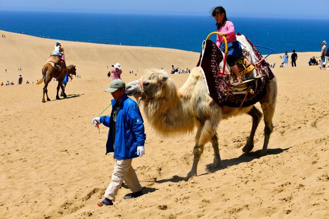 <strong>Camel cam:</strong> Prior to the pandemic, about 1.2 million people visited the dunes each year. Popular dune activities include sandboarding and camel rides.