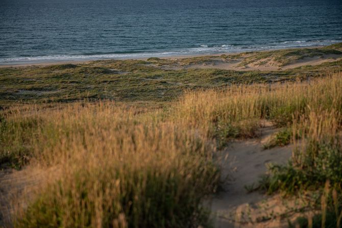 <strong>Peaks and pinnacles:</strong> The tallest dunes average 150 feet in height.