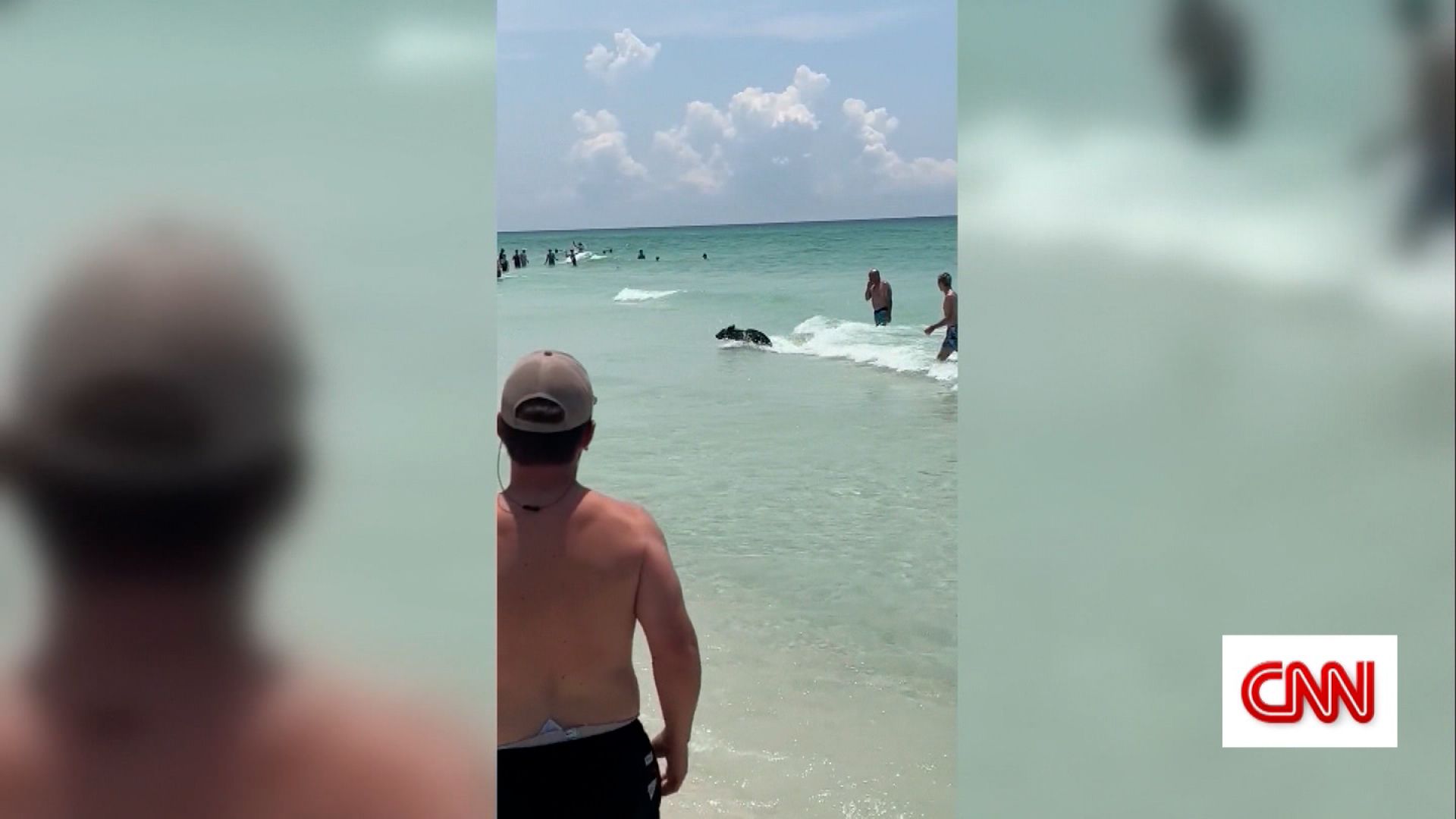 Bear walks out of ocean onto crowded Florida beach