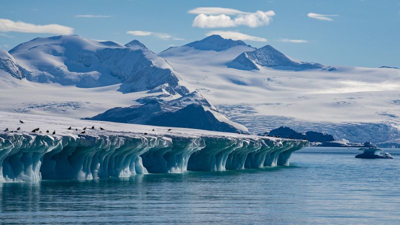 NextImg:The planet's coldest, saltiest ocean waters are heating up and shrinking, report finds | CNN