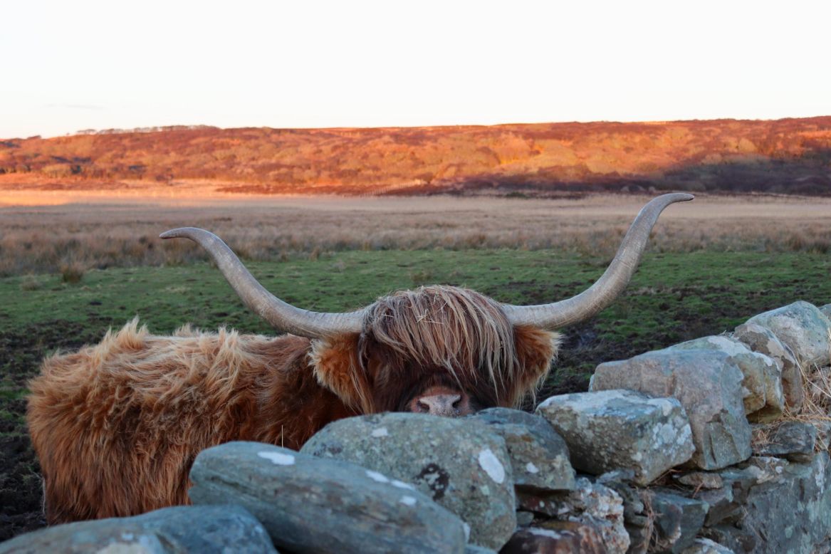Visitors come to tour the distilleries and taste a wee dram, and also to soak up the island's iconic scenery and meet friendly locals.
