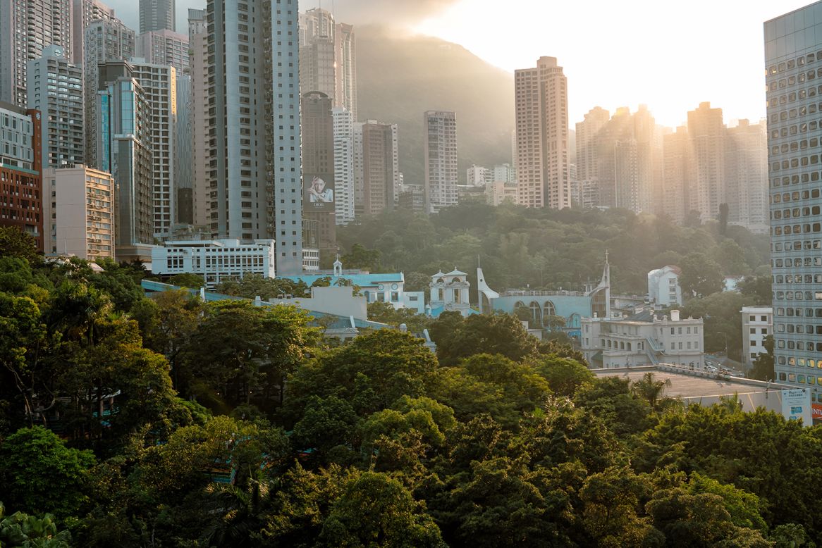 In Hong Kong (pictured), Andersson says the cockatoos are an important, iconic species that "provide humans with interaction with wild animals" that can help city dwellers "spark a passion for conservation or protecting the environment."