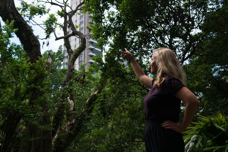 The Critically Endangered Cockatoo Thriving In An Urban Jungle CNN   230614025600 10 Hk Cockatoos Cnn 