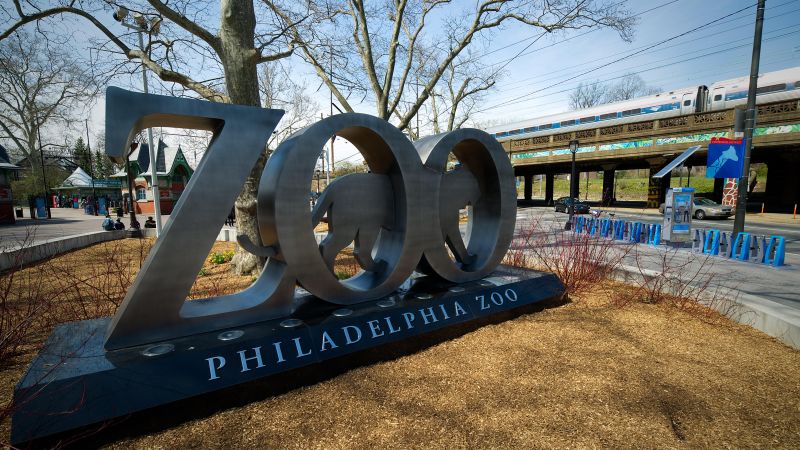 NextImg:Philadelphia Zoo officials say dye may have killed its five meerkats | CNN