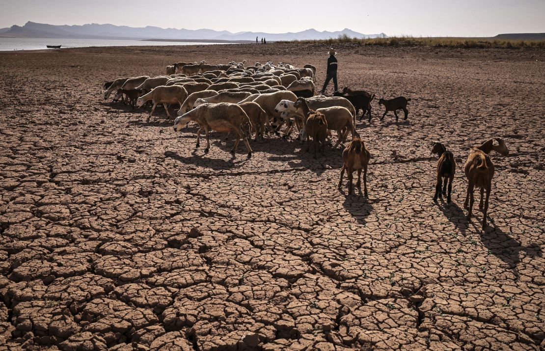 Cracked earth at al-Massira dam in Ouled Essi Masseoud village, Morocco, on August 8, 2022, amid the country's worst drought in at least four decades.