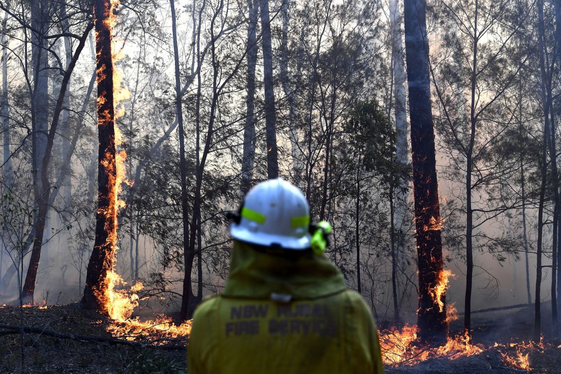 A bush fire in New South Wales on November 2, 2019.