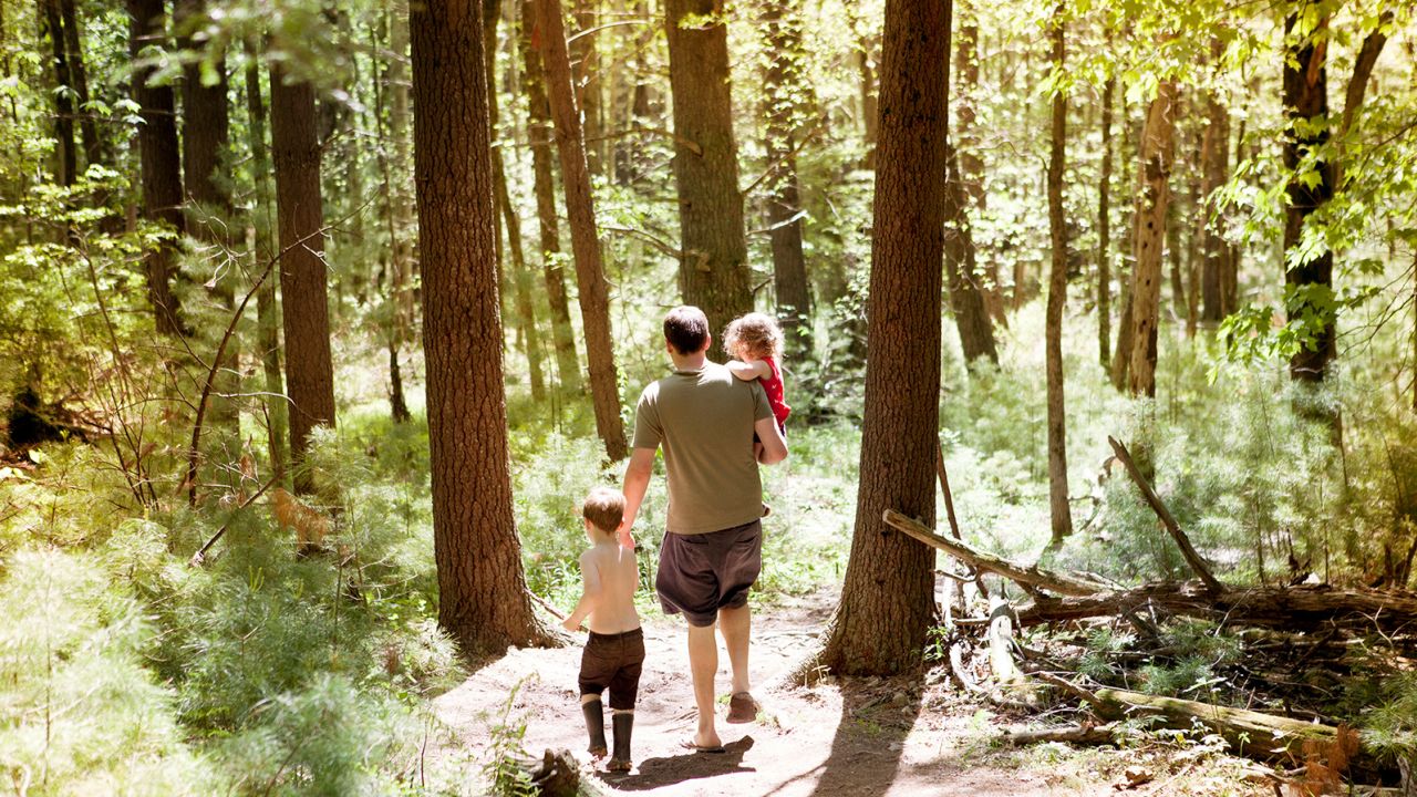 High angle view of father with son and daughter walking on dirt road amidst forest