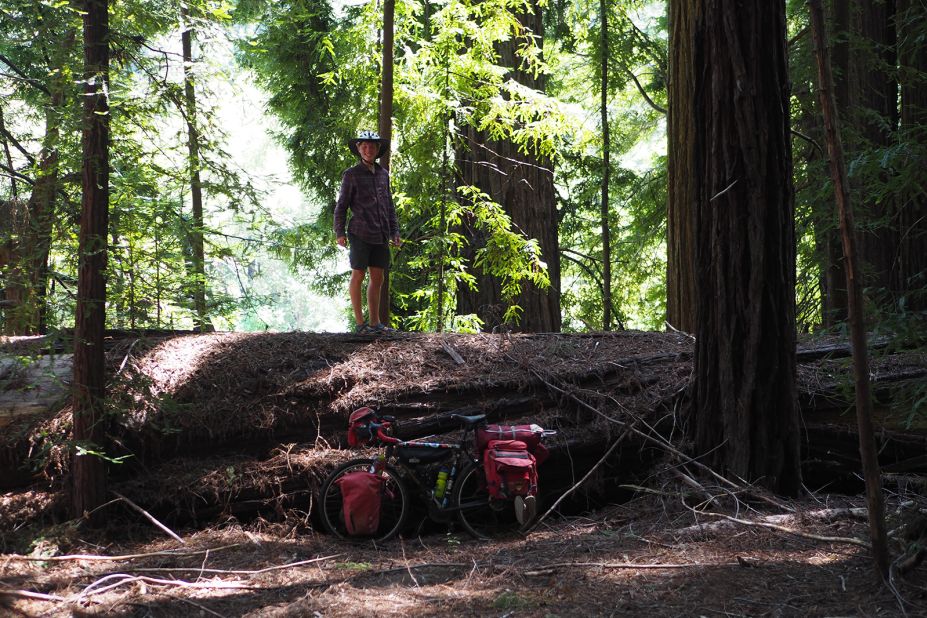 <strong>Relaxed approach:</strong> "I rarely know where I'm going," says Swanson, pictured in the California Redwoods. "I'll set my destination 500 miles ahead of me, and I'll just go in that direction and figure it out day by day. Just stopping when I get tired."