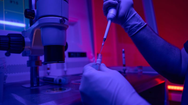 Scientists report creation of first human synthetic model embryos