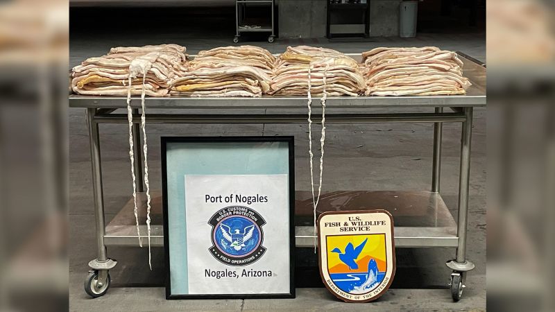 NextImg:US authorities seize shipment of swim bladder from endangered fish valued at $2.7 million | CNN