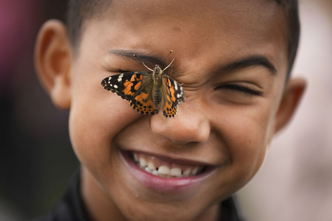 A butterfly crawls on Jonah Sacca's face as he and other elementary school students released the insects at the Surrey Centre Cemetery in Surrey, British Columbia, on Wednesday, June 14.