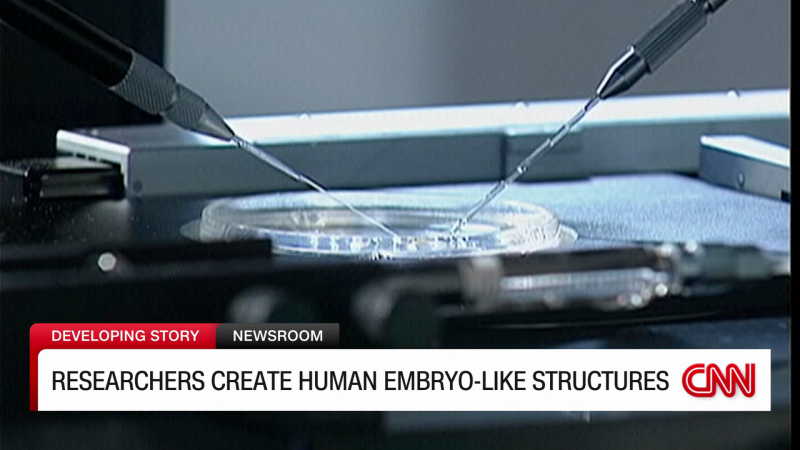 Synthetic Human Embryo Model Raises Ethical Issues | CNN