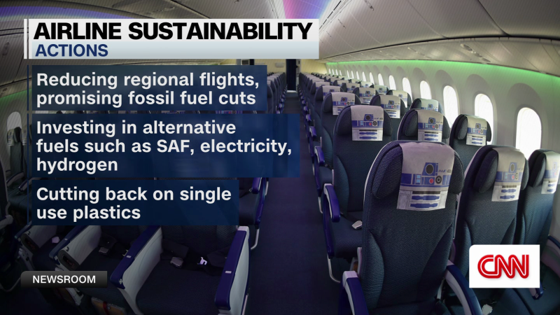 Can air travel become more climate-friendly? | CNN