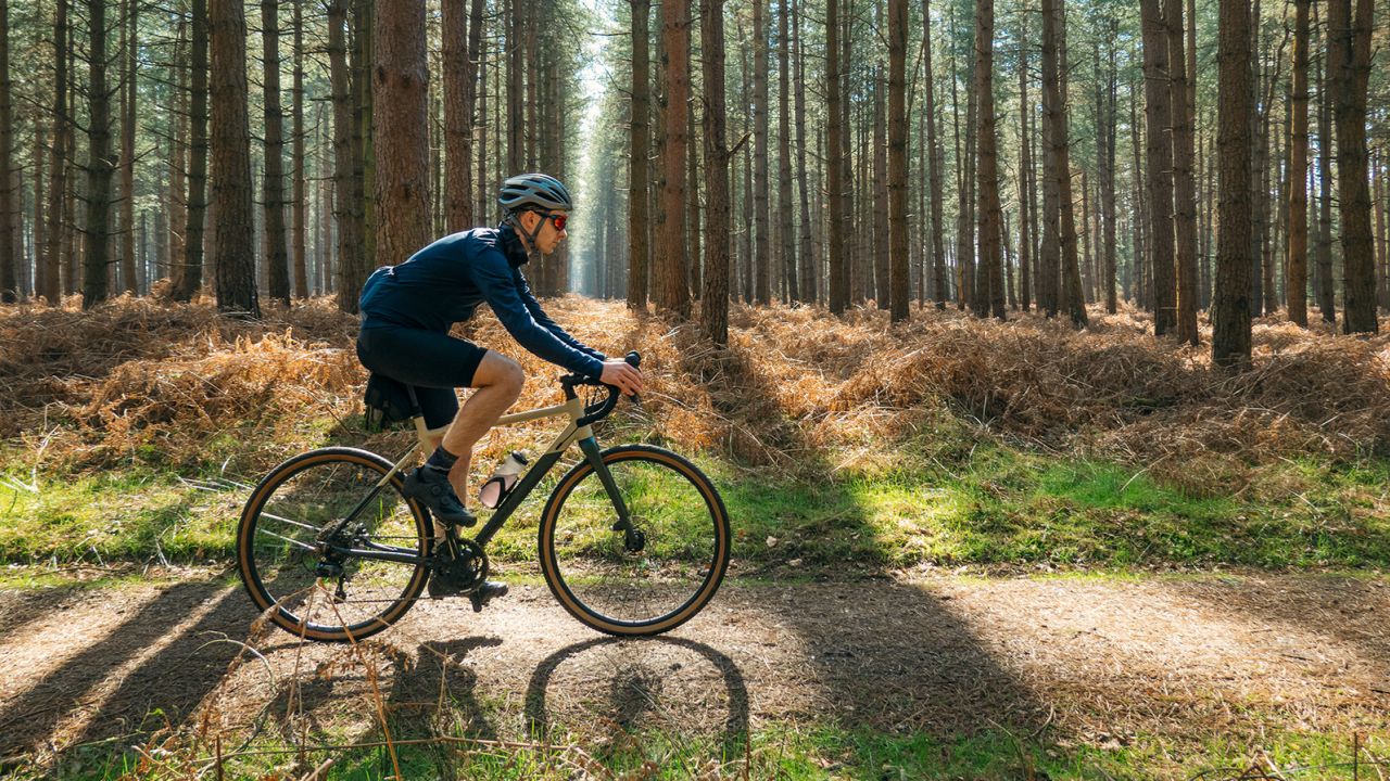 Cyclist on a sunny forest trail