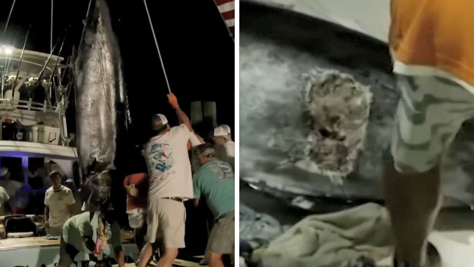 Fishing crew misses out on $3 million prize after 619-pound blue marlin  disqualified because of 'mutilation' at sea