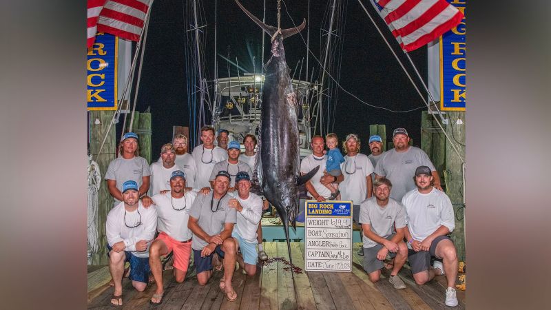 Captain of fishing boat disqualified for ‘mutilated’ marlin says the win was ‘taken away from us’ Captain of fishing boat disqualified for ‘mutilated’ marlin says the win was ‘taken away from us’