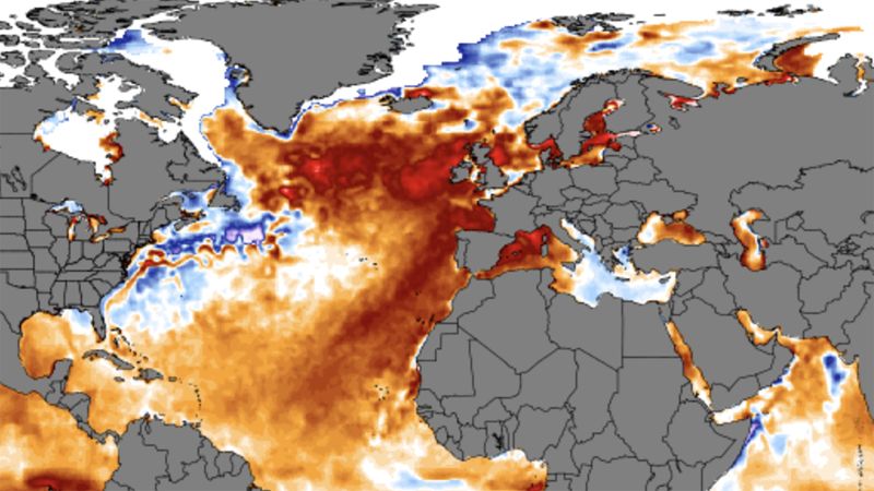 The North Atlantic Is Experiencing A 'totally Unprecedented' Marine ...