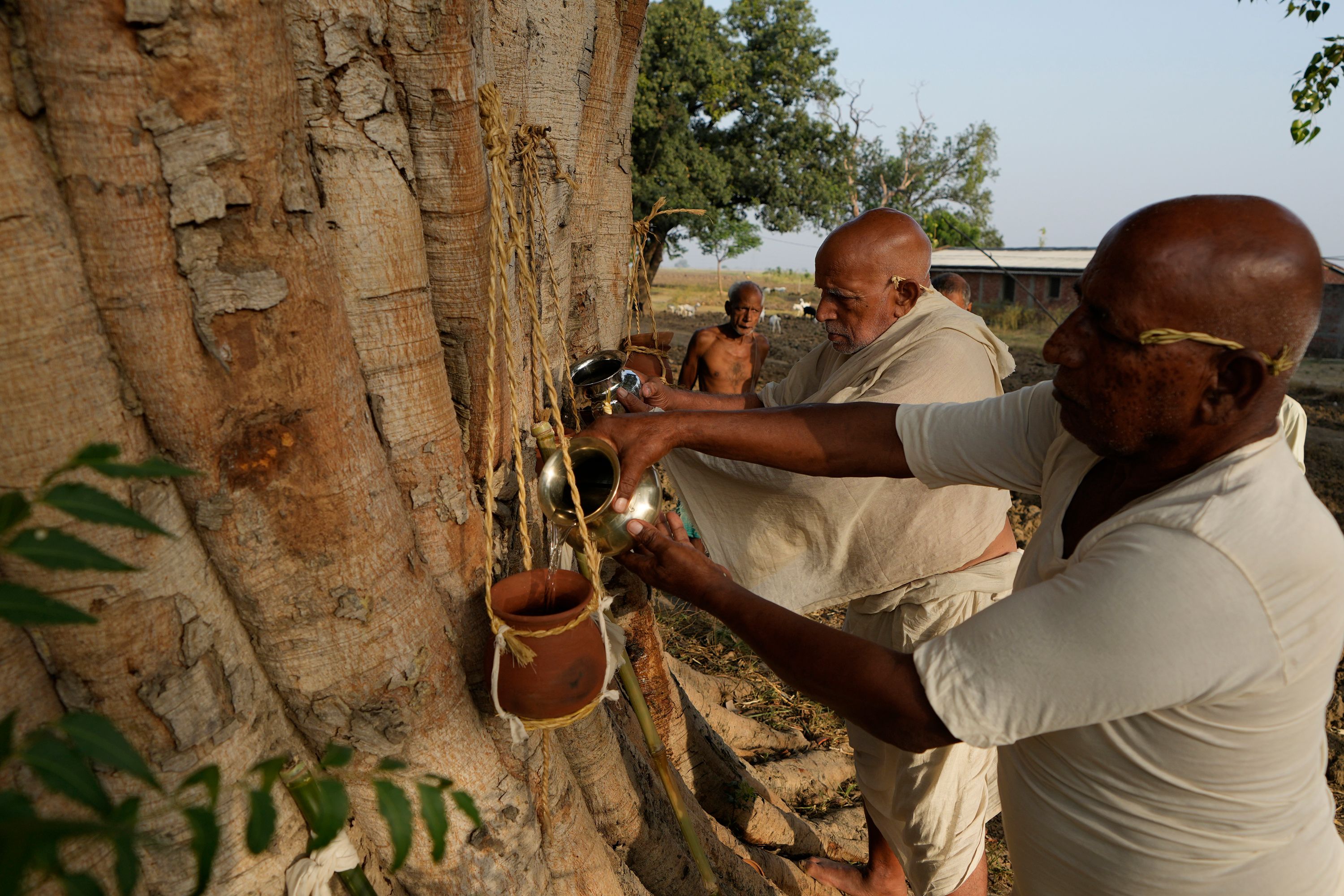 Des parents accomplissent les derniers rites de trois villageois décédés à cause de maladies liées à la chaleur dans le district de Ballia, dans l'État de l'Uttar Pradesh, le 19 juin 2023.