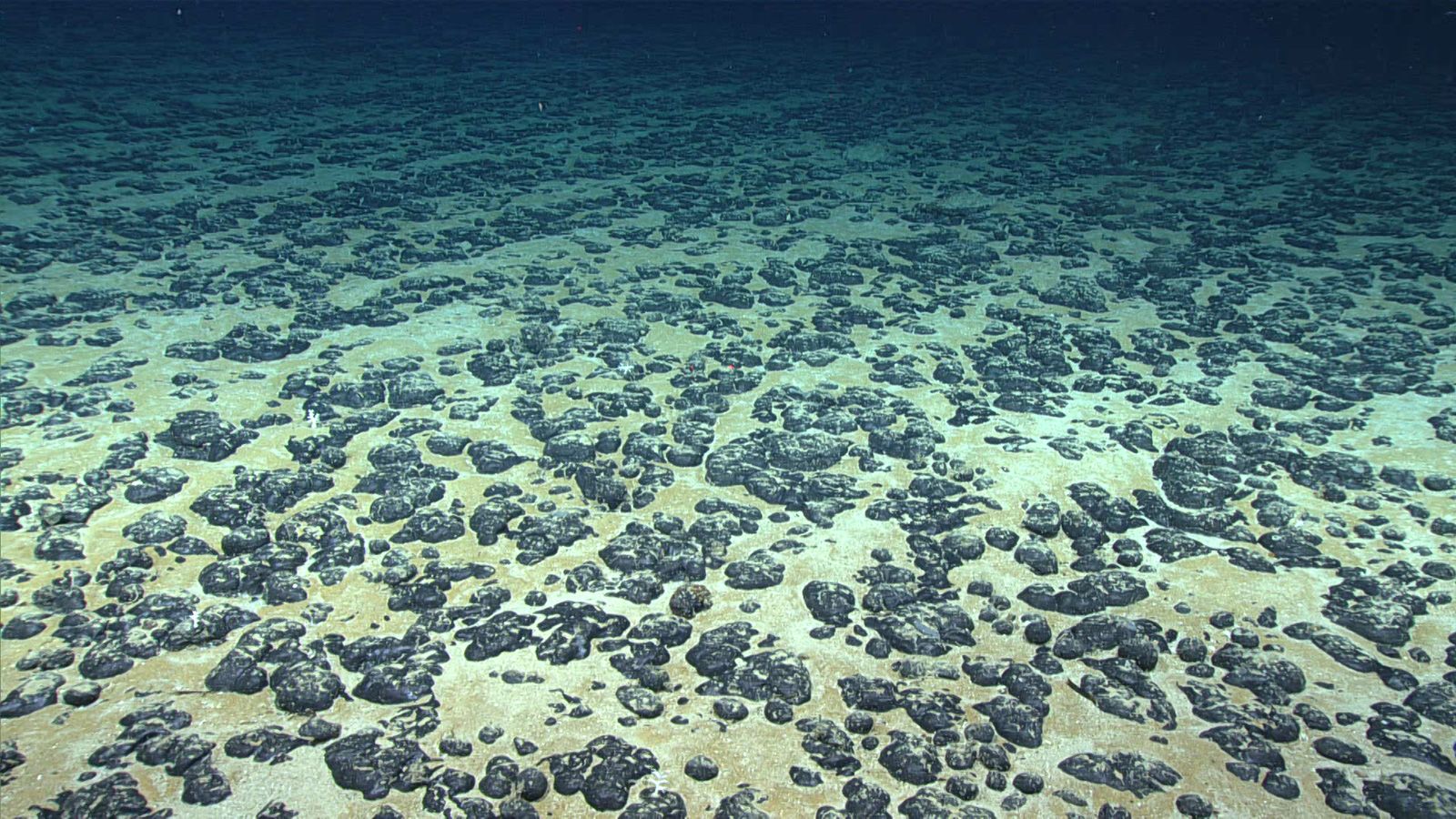 What's at the bottom of the ocean? A brief history of deep sea exploration