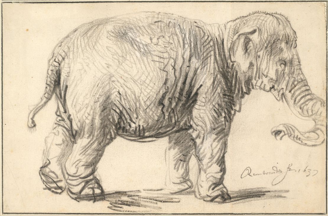 Rembrandt's drawing of an elephant is one of the designs available.