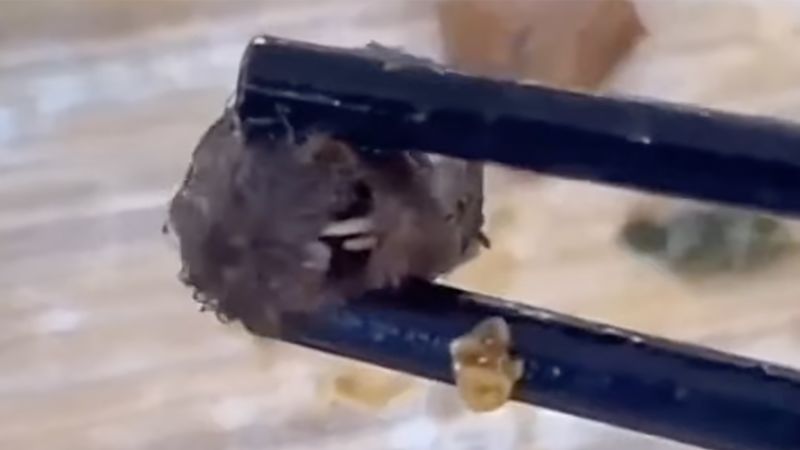 NextImg:Strange thing found in student's meal is rat head, Chinese officials rule after food scare anger | CNN