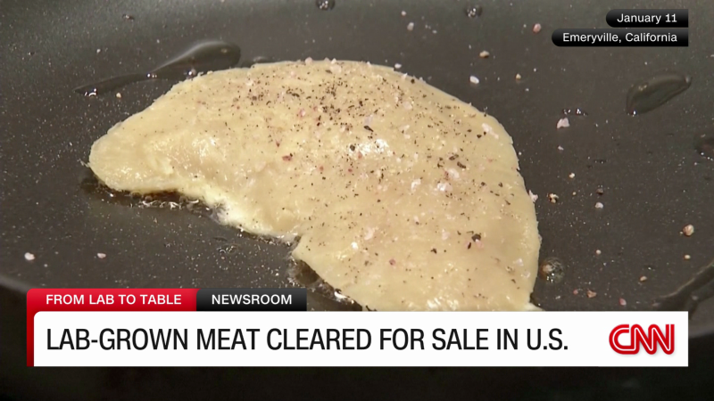 USDA approves lab-grown meat for sale in the U.S. | CNN