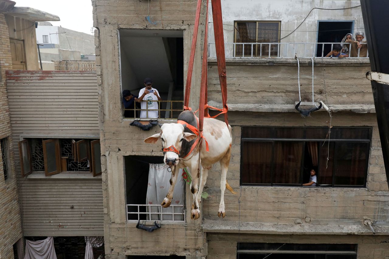 A sacrificial bull is lowered from a rooftop by crane ahead of the Eid al-Adha festival in Karachi, Pakistan, on Sunday, June 18.