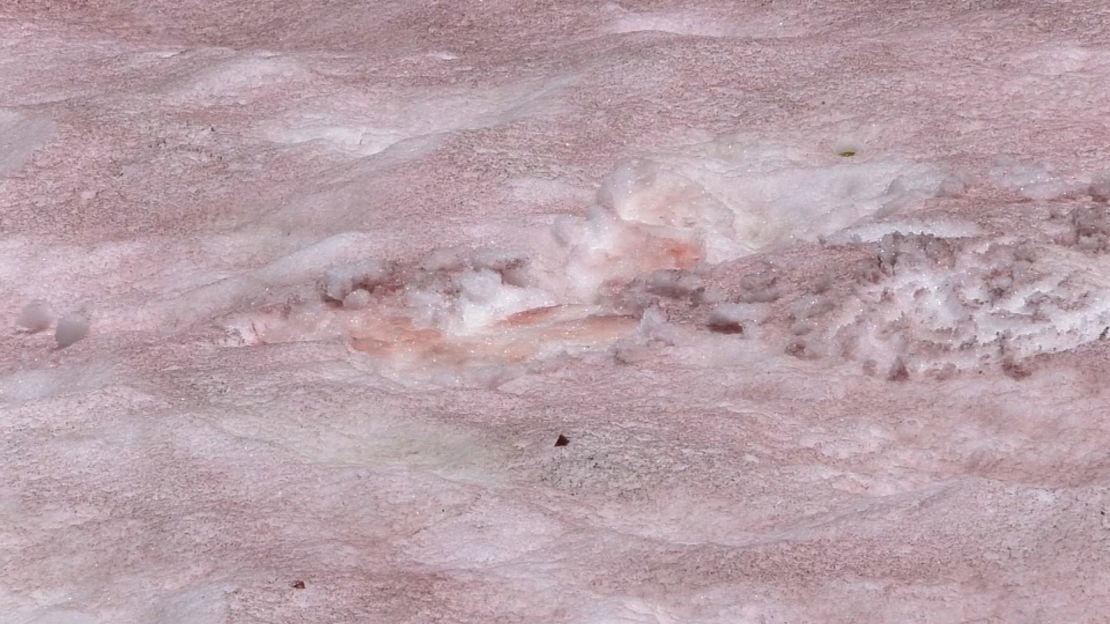 Pink snow in Cache County, Utah, is pictured Wednesday, June 21, 2023.