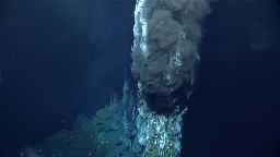 Tall hydrothermal vents spill out black chemical bacteria in the depths of the Mariana Trench in the Pacific Ocean, as seen during a 2016 exploration.