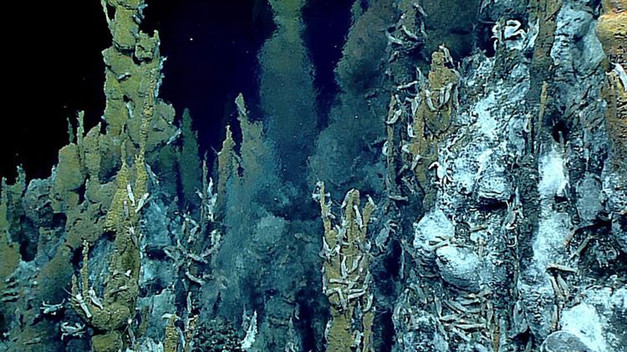 Hydrothermal-vent chimney. In the center of the photo, you can see the vent fluid, which appears as dark smoke due to its high levels of minerals and sulfides. Look closely, and you will also see the chimney is crawling with Chorocaris shrimp and Austinograea wiliamsi crabs.