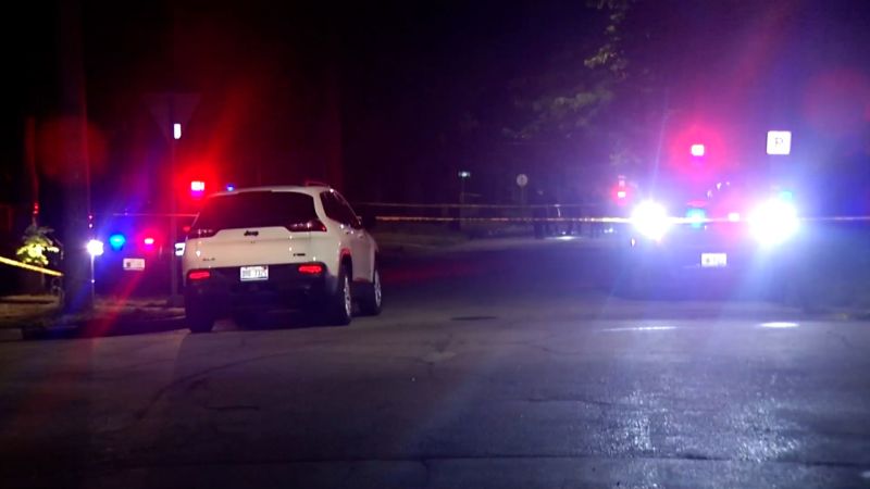 NextImg:2 killed, 15 hurt after fight at large Michigan street party leads to gunshots | CNN