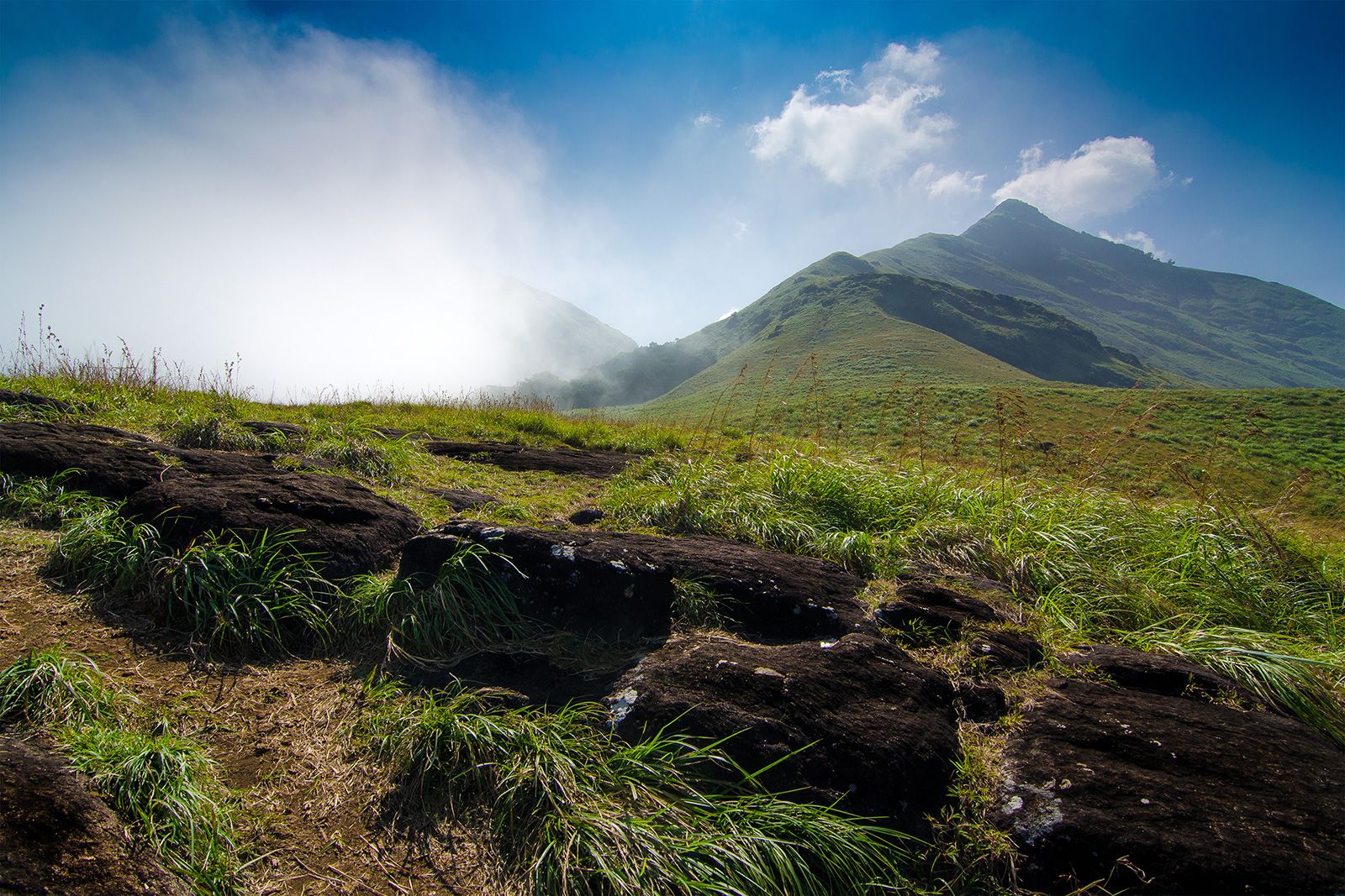 Chembra peak, Kerala, India