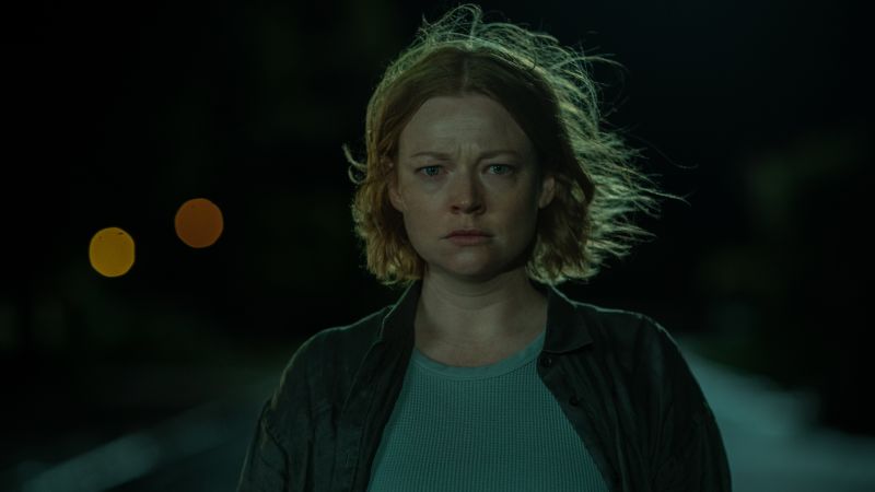 NextImg:'Succession' stars get a split decision in 'Run Rabbit Run' and 'Prisoner's Daughter' | CNN