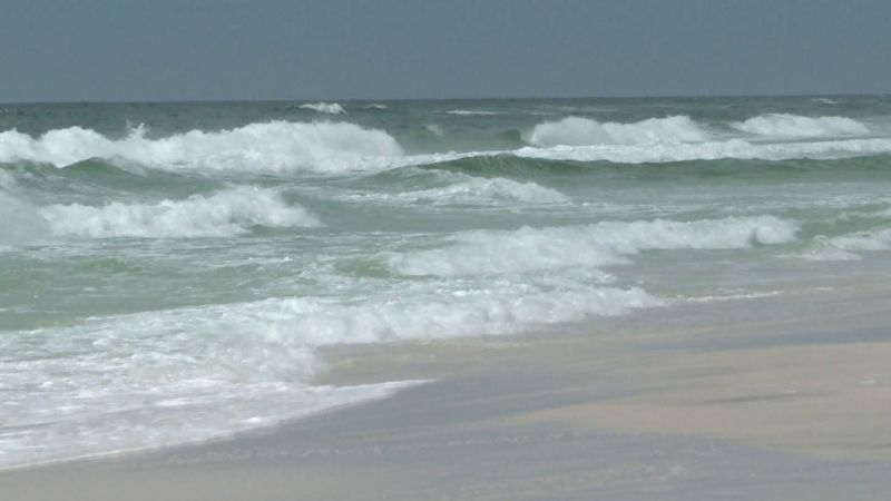 NextImg:11 people have died in rip currents in less than two weeks along Gulf Coast | CNN