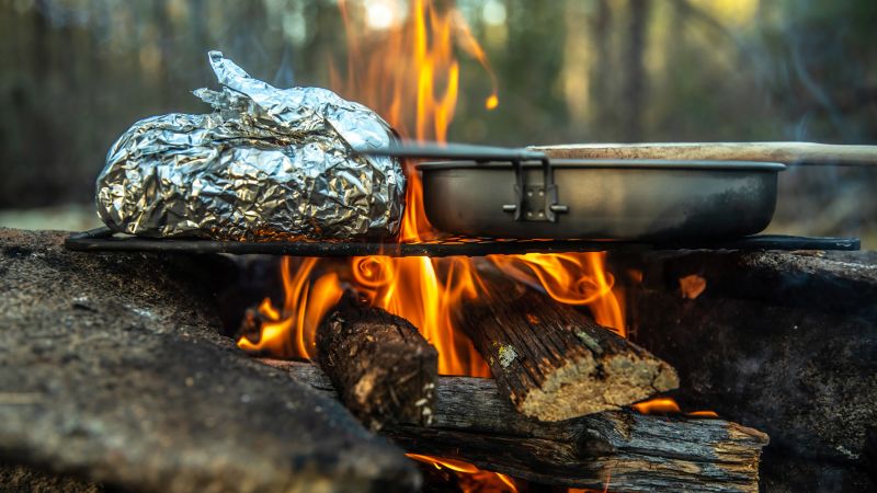 Campfire hotsell cooking grill