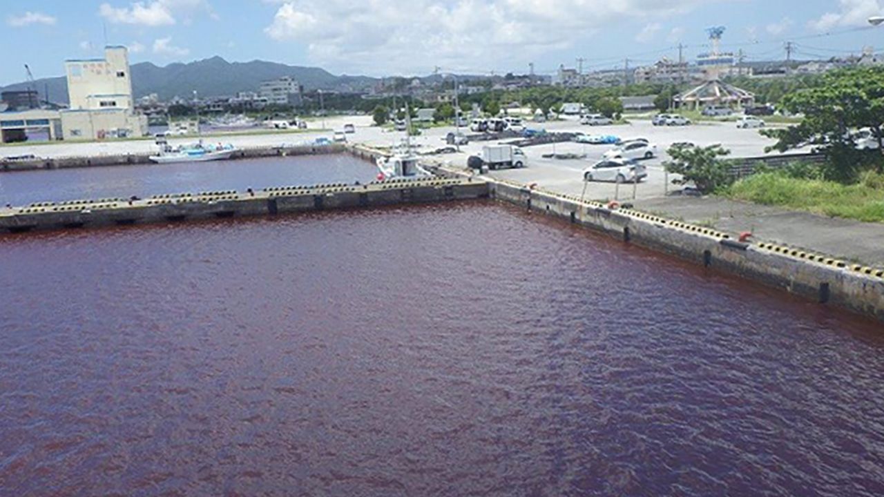 The leak turned the usually clear blue waters of Nago blood red. 