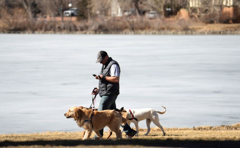 Walking 2024 talking dog