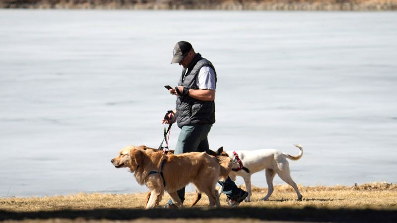 Cesar Millan - Walking with your dog is the single most