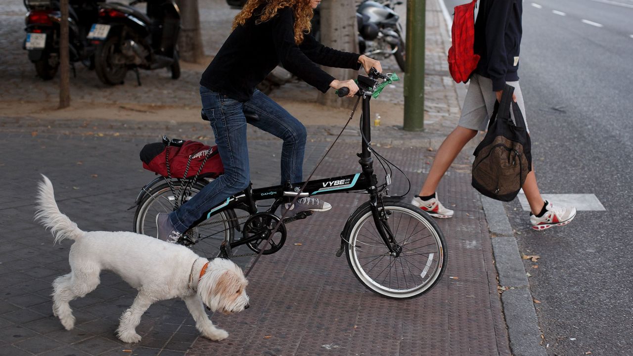 MADRID, SPAIN - SEPTEMBER 19:  A woman walk her dog riding a bike near Atocha Train Station on September 19, 2013 in Madrid, Spain. With the financial crisis in Spain, more people are starting to use bicycles. For the first time, bicycles appear to be outselling cars, with figures of Spain's cycle industry showing 780,000 people buying bikes compared to 700,000 cars sold.  (Photo by Pablo Blazquez Dominguez/Getty Images)