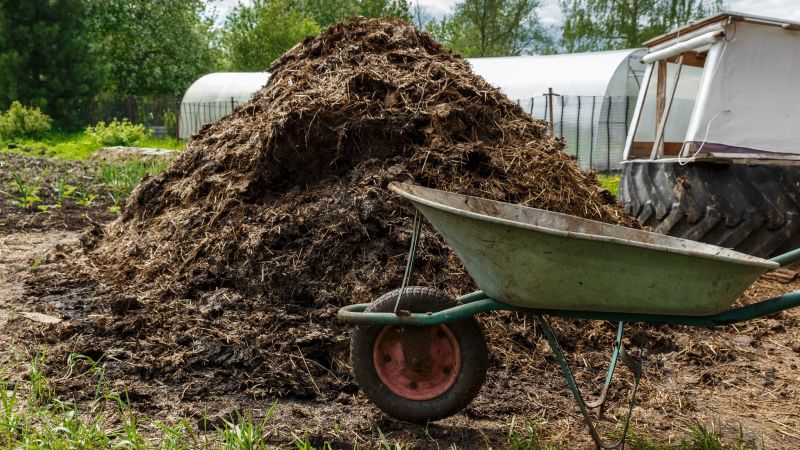 NextImg:California man sentenced to over 6 years in prison for $8.7 million cow manure Ponzi scheme, US attorney's office says | CNN Business