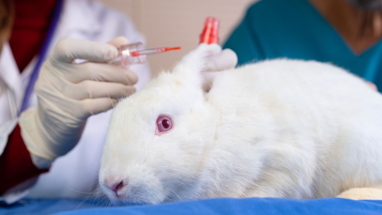 Canada has joined more than 40 countries to ban cosmetic testing on animals.